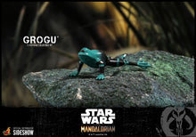 Load image into Gallery viewer, Star Wars The Mandalorian Grogu 1:6 Scale Hot Toys
